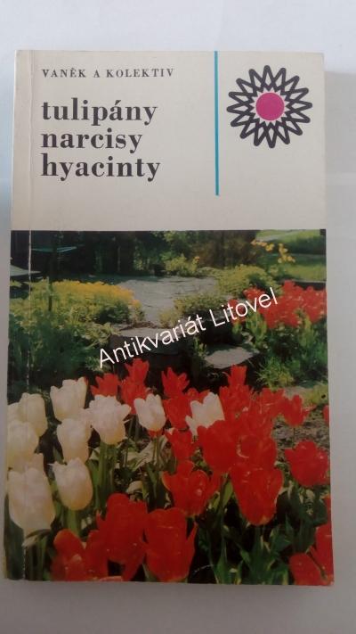 Tulipány, narcisy, hyacinty