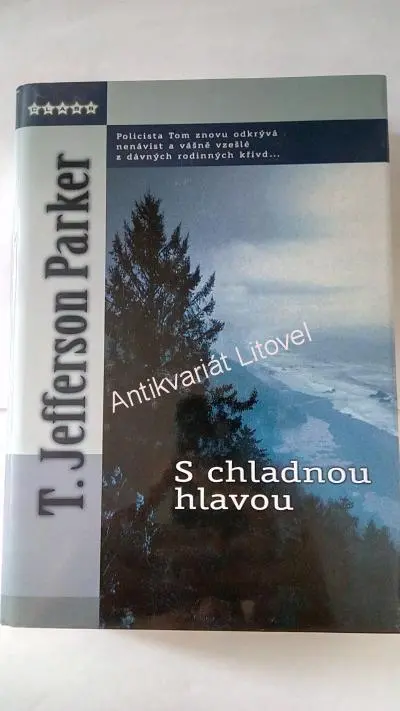 S chladnou hlavou