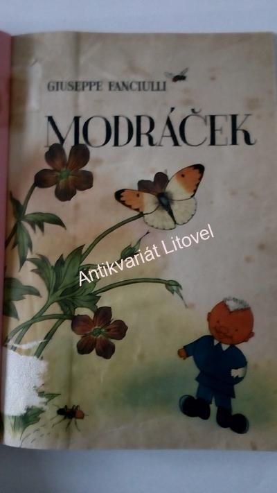 Modráček