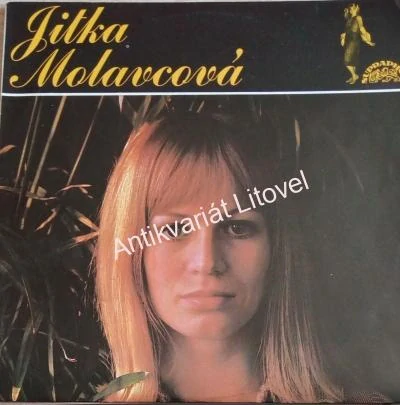 Jitka Molavcová