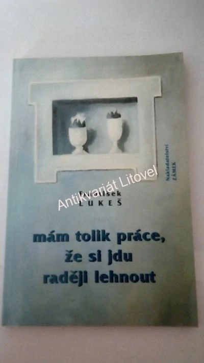 Mám tolik práce, že si jdu raději lehnout
