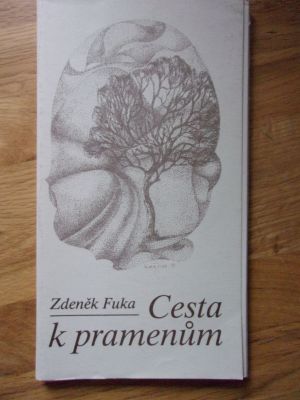 Cesta k pramenům