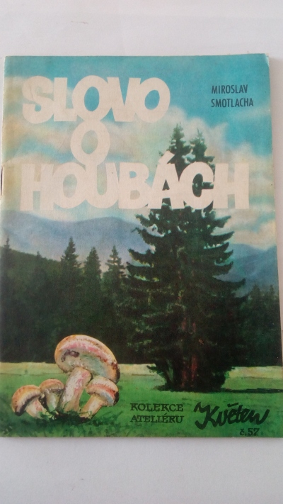 Slovo o houbách
