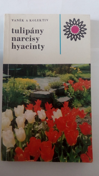 Tulipány, narcisy, hyacinty