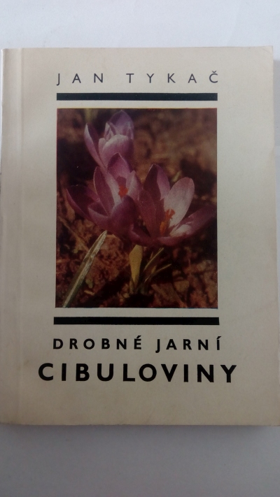 Drobné jarní cibuloviny