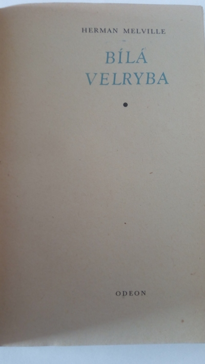 Bílá velryba
