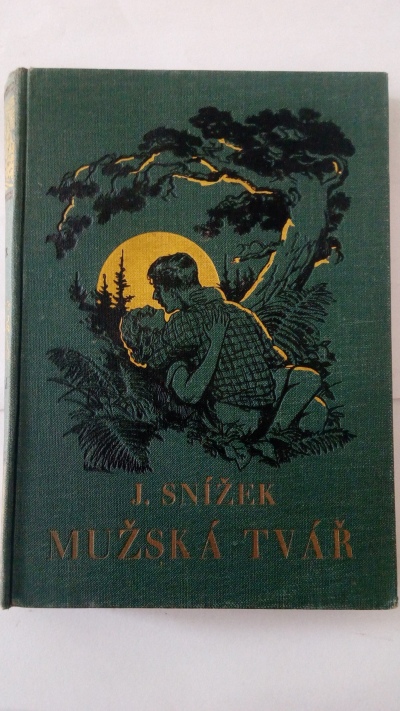 Mužská tvář