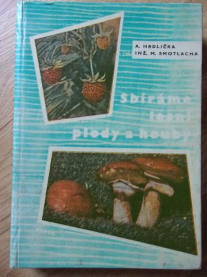 Sbíráme lesní plody a houby