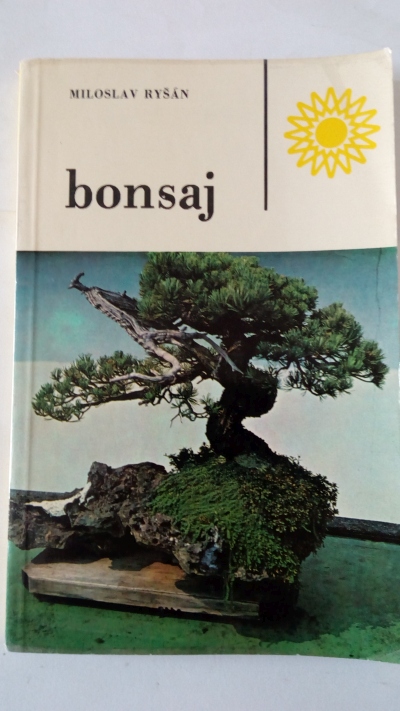 Bonsaj