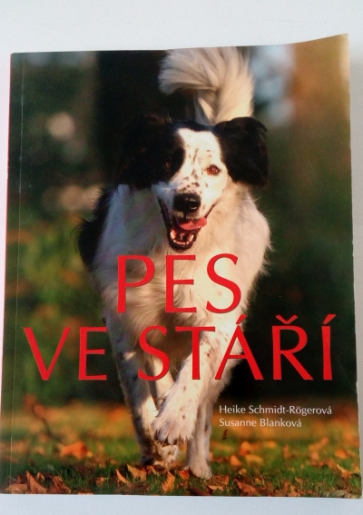 Pes ve stáří