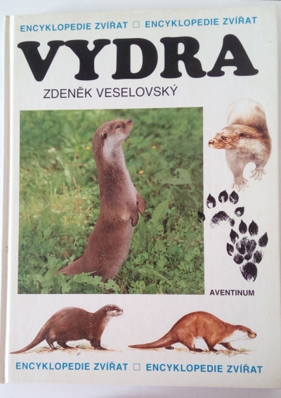 Vydra