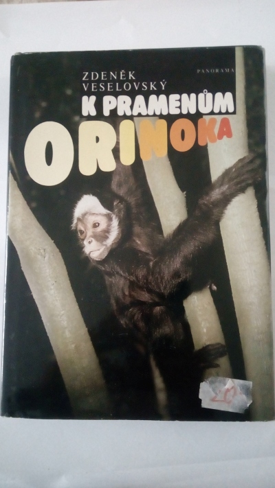 K pramenům Orinoka