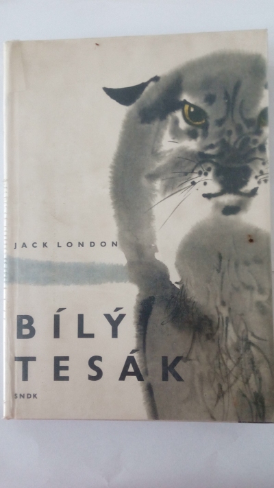 Bílý tesák