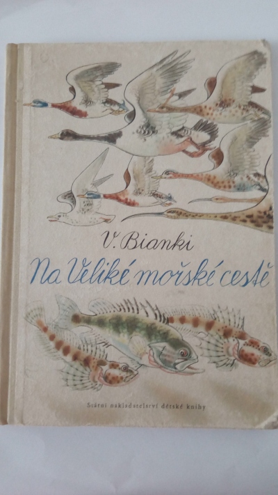 Na Veliké mořské cestě