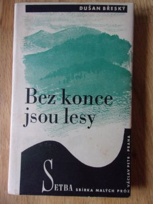 Bez konce jsou lesy