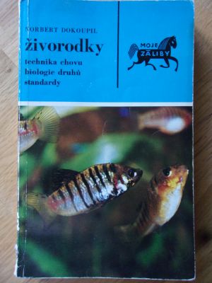 Živorodky