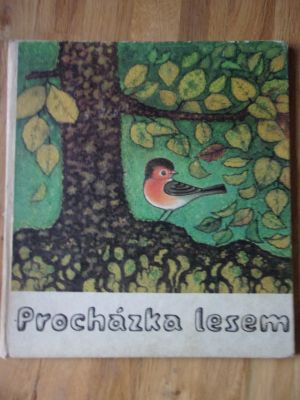 Procházka lesem
