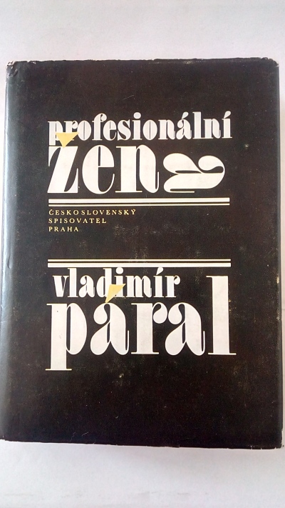 Profesionální žena