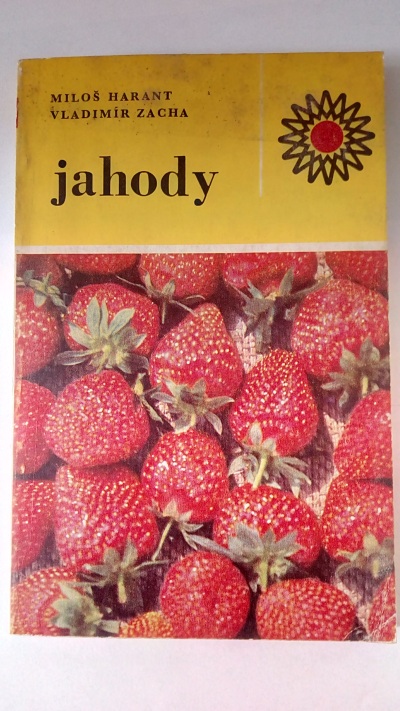 Jahody