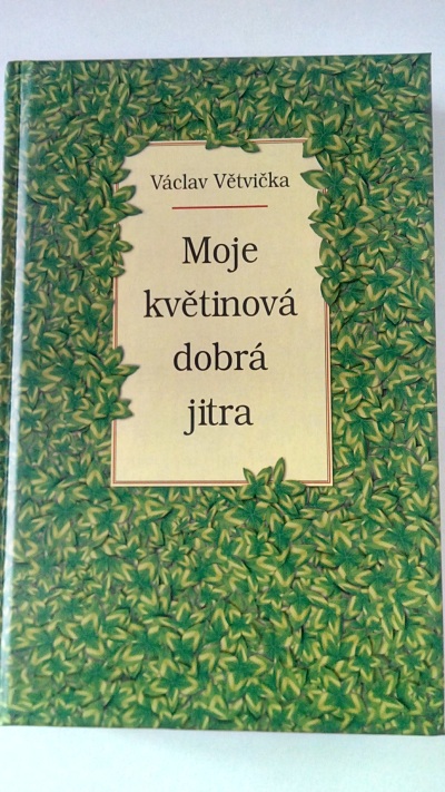 Moje květinová dobrá jitra