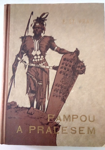 Pampou a pralesem
