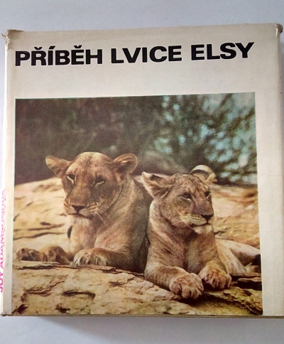 Příběh lvice Elsy