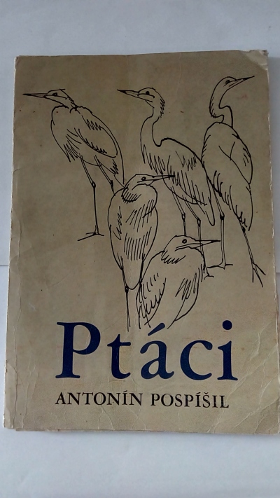 Ptáci
