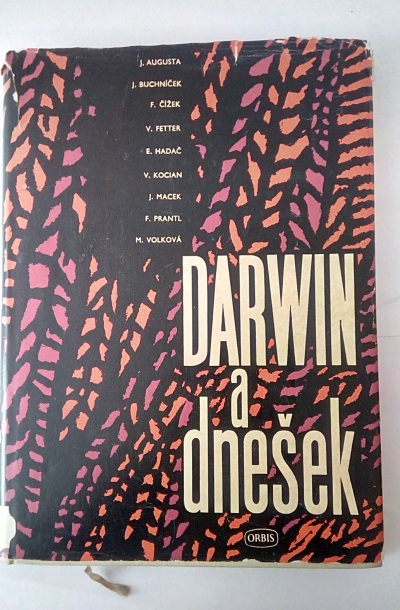 Darwin a dnešek