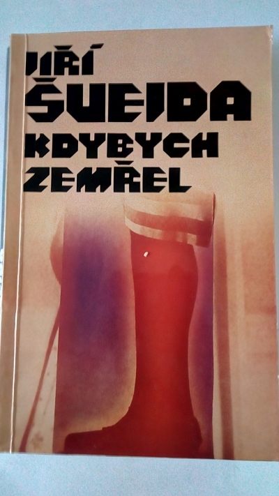 Kdybych zemřel