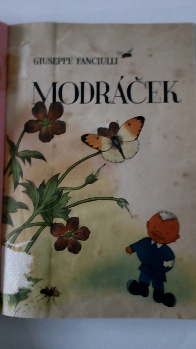 Modráček