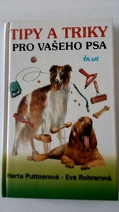 Tipy a triky pro vašeho psa