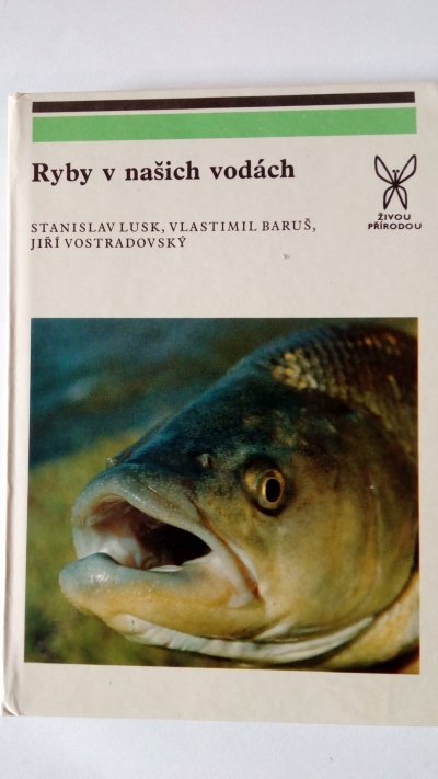 Ryby v našich vodách