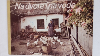 Na dvore i na vode