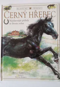 Černý hřebec