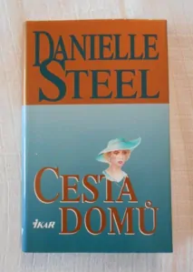 Cesta domů