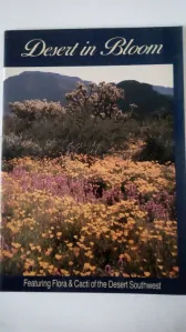 Desert in Bloom