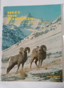 Meet the Mammals of waterton – glacier international peace park