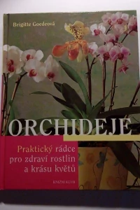 Orchideje