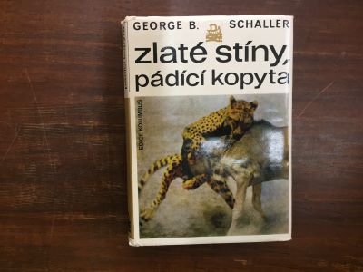 Zlaté stíny, pádící kopyta