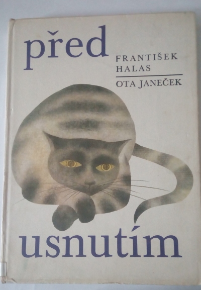 Před usnutím