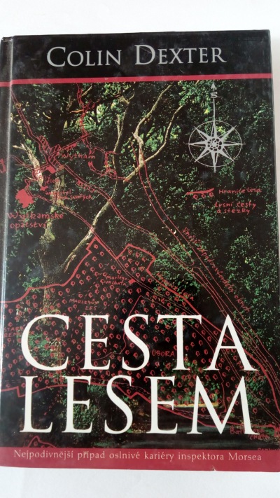Cesta lesem