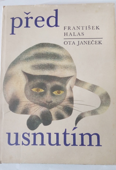 Před usnutím