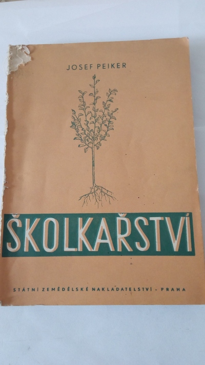 Školkařství