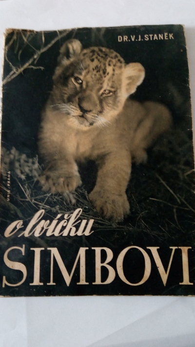 O lvíčku Simbovi