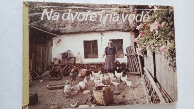 Na dvoře i na vodě
