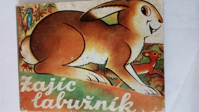 Zajíc labužník