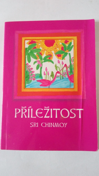 Příležitost