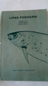 Lipan podhorní