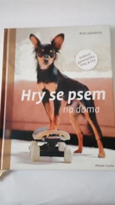 Hry se psem na doma