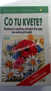 Co tu kvete?